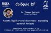 DF / PPGFA Colloquium - Auxetic Liquid Crystal Elastomers: Expanding Material Horizons​