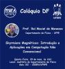 Colloquium 05/29/2025: "Magnetic Skyrmions: Introduction and Applications in Unconventional Computing"